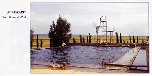 Ain Dzarit